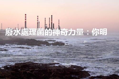 廢水處理菌的神奇力量：你明白它們有多厲害嗎？